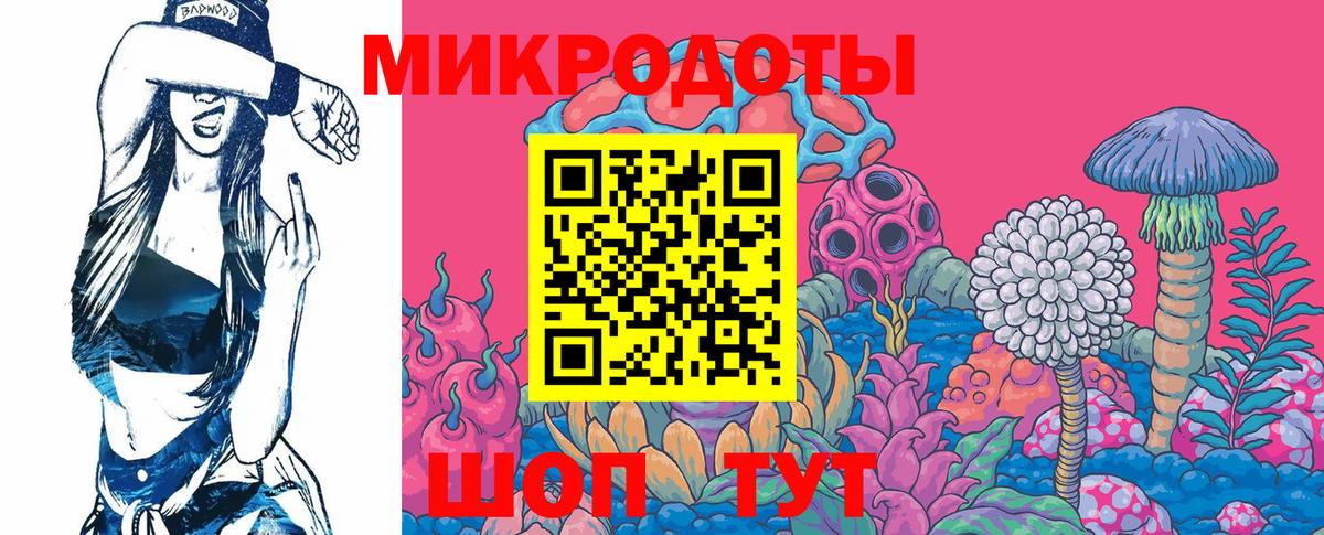 сколько стоит  Артём  Галлюциногенные грибы GOLDEN TEACHER  Галлюциногенные грибы ЛСД 