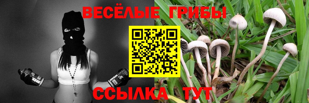 Псилоцибиновые грибы GOLDEN TEACHER Артём